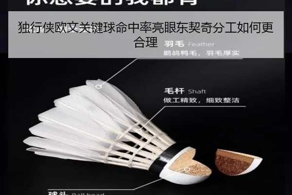 独行侠欧文关键球命中率亮眼东契奇分工如何更合理