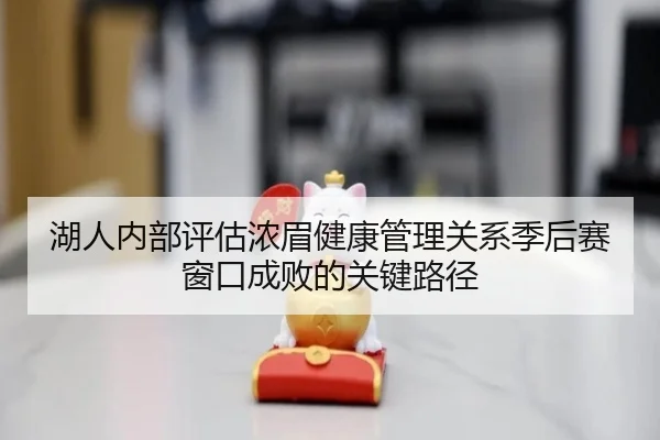湖人内部评估浓眉健康管理关系季后赛窗口成败的关键路径（kaiyun）
